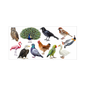 BIRDS MAGNET CUT OUT