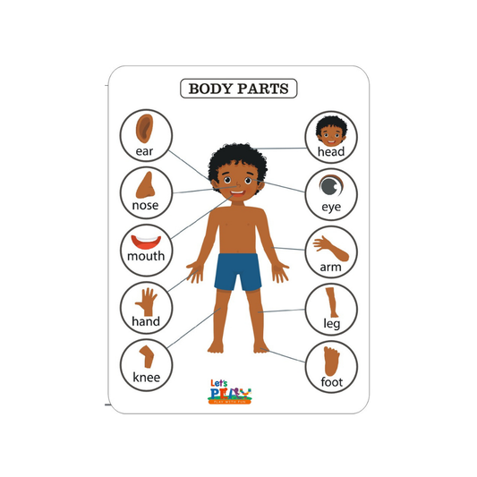 PARTS OF BODY PUZZLE